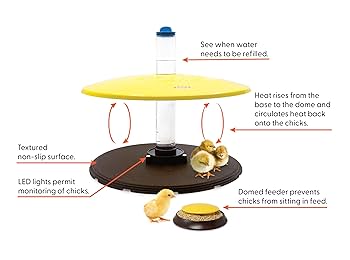 【おまとめ】【Bedtime】【Feeding the chickens】他２点 Amazon.com : Cozy Chickens Brooder Habitat Plus – Safer Than